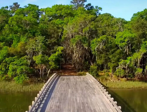 Kane Island